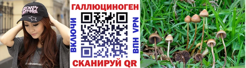 Галлюциногенные грибы MAGIC MUSHROOMS  Купить  Аткарск 